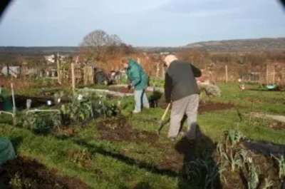 /wp-content/uploads/2014/03/Allotments-300x199.jpg